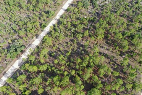 Terrain à vendre à Williston, Floride № 2208910 - photo 3