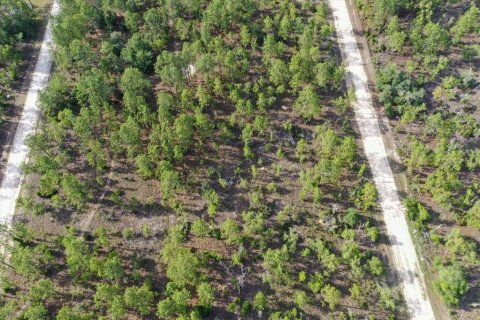Terrain à vendre à Williston, Floride № 2208910 - photo 6