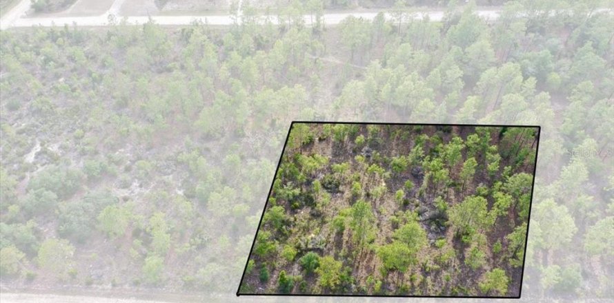 Terrain à Williston, Floride № 2208910
