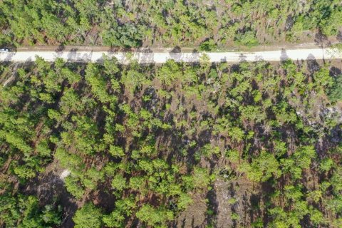 Terrain à vendre à Williston, Floride № 2208910 - photo 4