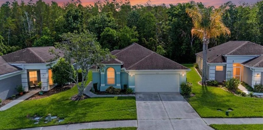 House in Wesley Chapel, Florida 3 bedrooms, 165.37 sq.m. № 2120307