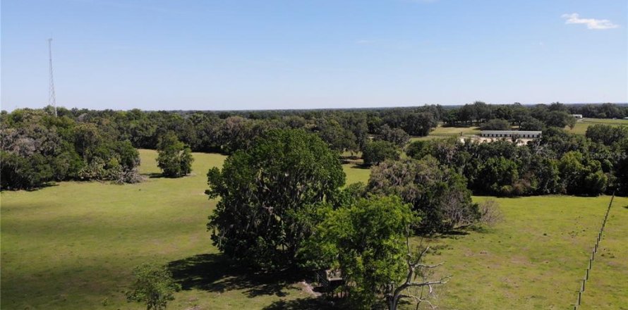 Terrain à Ocala, Floride № 1720288