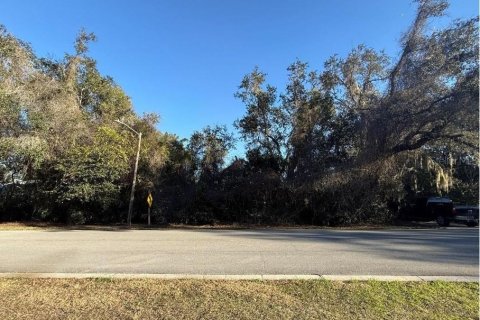 Land in DeLand, Florida № 2370824