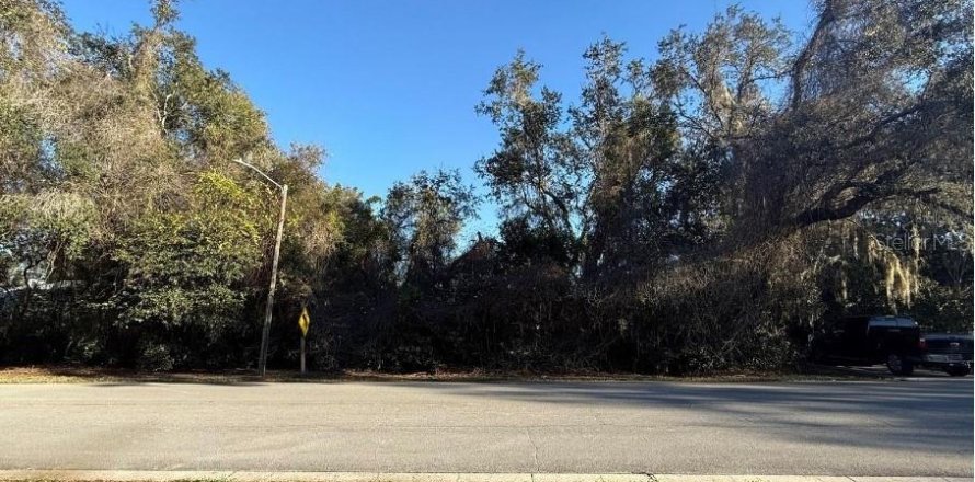 Land in DeLand, Florida № 2370824