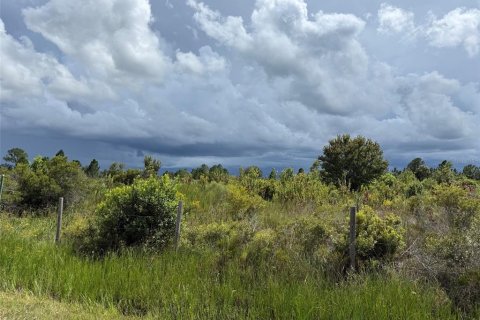 Terrain à vendre à Okeechobee, Floride № 2373203 - photo 2