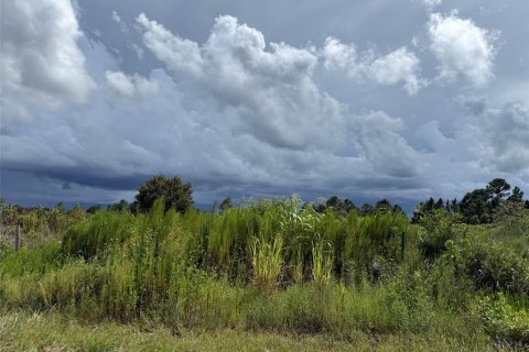 Terrain à vendre à Okeechobee, Floride № 2373203 - photo 6