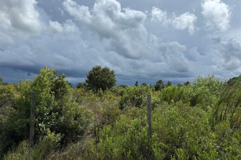 Terrain à vendre à Okeechobee, Floride № 2373203 - photo 5
