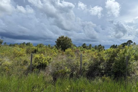 Terrain à vendre à Okeechobee, Floride № 2373203 - photo 4