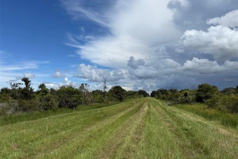 Terrain à vendre à Okeechobee, Floride № 2373203 - photo 3