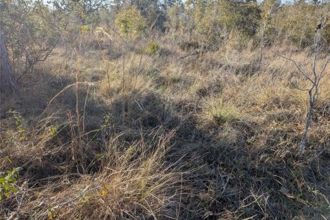 Land in Archer, Florida № 1733299 - photo 8