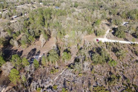 Land in Archer, Florida № 1733299 - photo 1