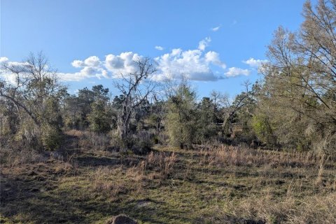 Land in Archer, Florida № 1733299 - photo 7