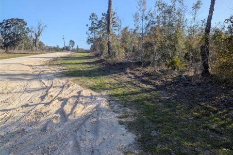 Land in Archer, Florida № 1733299 - photo 6