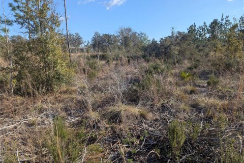 Land in Archer, Florida № 1733299 - photo 5