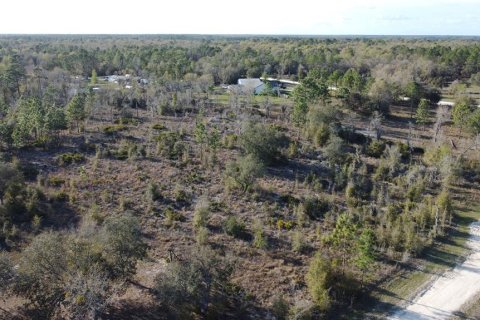 Land in Archer, Florida № 1733299 - photo 3