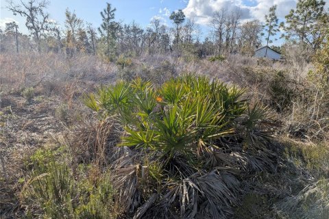 Land in Archer, Florida № 1733299 - photo 4