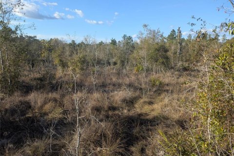 Land in Archer, Florida № 1733299 - photo 9