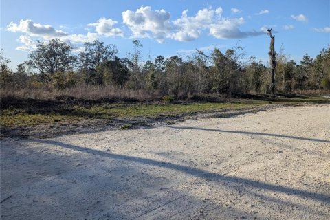 Land in Archer, Florida № 1733299 - photo 10