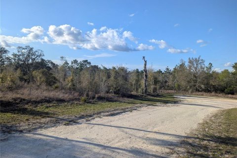Land in Archer, Florida № 1733299 - photo 2