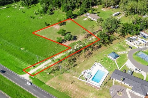 Land in Leesburg, Florida № 1819063 - photo 12