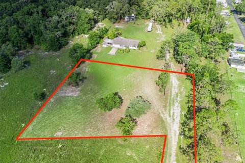 Land in Leesburg, Florida № 1819063 - photo 11