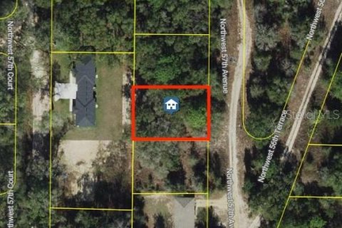 Land in Ocala, Florida № 2161239