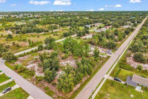 Terrain à vendre à Punta Gorda, Floride № 2390858 - photo 4