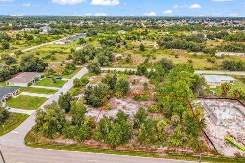 Terrain à Punta Gorda, Floride № 2390858