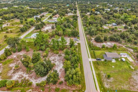 Terrain à vendre à Punta Gorda, Floride № 2390858 - photo 6