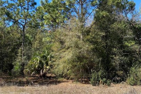 Land in Crystal River, Florida № 2163983 - photo 2