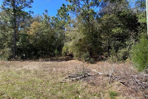 Land in Crystal River, Florida № 2163983