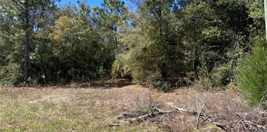 Land in Crystal River, Florida № 2163983