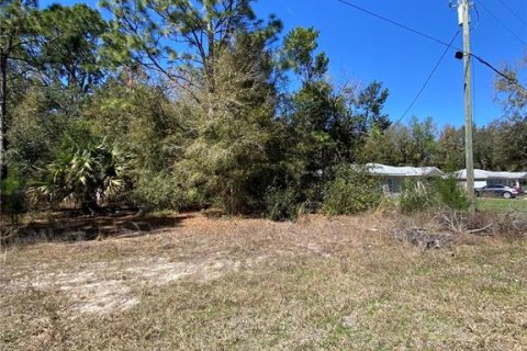 Land in Crystal River, Florida № 2163983 - photo 3