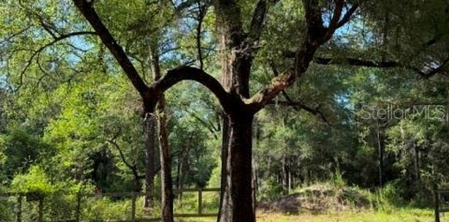 Terrain à Dunnellon, Floride № 2211656