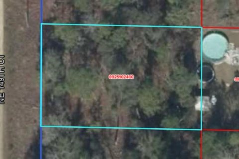 Land in Williston, Florida № 2229018 - photo 2
