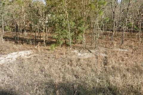 Land in Williston, Florida № 2229018