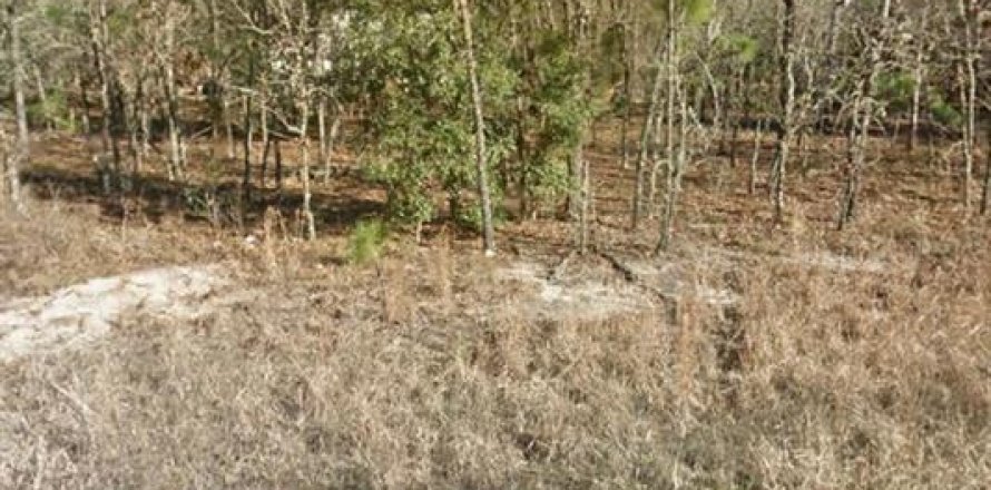 Land in Williston, Florida № 2229018