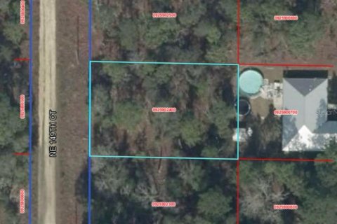 Land in Williston, Florida № 2229018 - photo 3