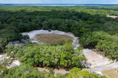 Terrain à vendre à Ocklawaha, Floride № 2239032 - photo 6