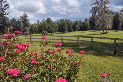 Casa en alquiler en Ocala, Florida, 3 dormitorios, 171.4 m2 № 1573987 - foto 23