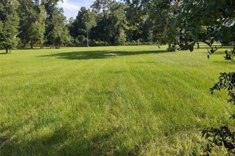 Casa en alquiler en Ocala, Florida, 3 dormitorios, 171.4 m2 № 1573987 - foto 24