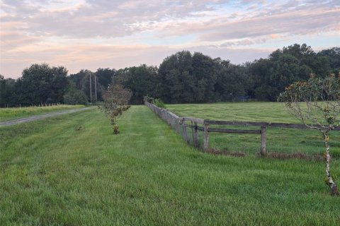 Land in Webster, Florida № 1900253 - photo 4