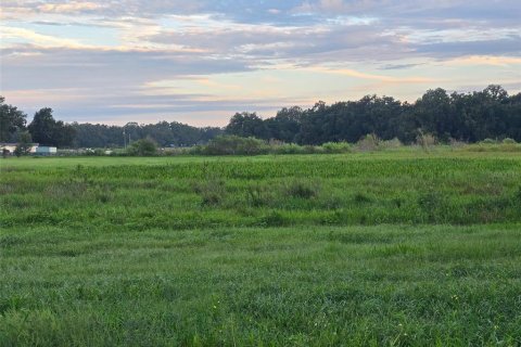 Land in Webster, Florida № 1900253 - photo 6