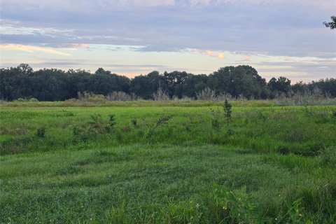 Land in Webster, Florida № 1900253 - photo 5