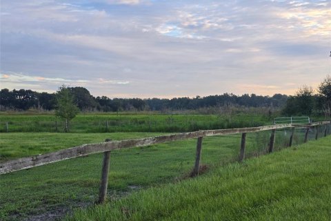 Land in Webster, Florida № 1900253 - photo 3