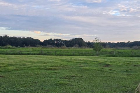 Land in Webster, Florida № 1900253 - photo 2
