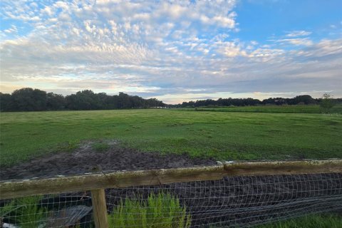 Land in Webster, Florida № 1900253 - photo 7