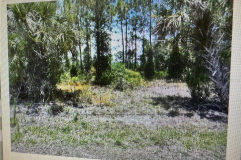 Land in North Port, Florida № 2165838 - photo 2