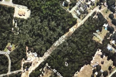Land in Ocklawaha, Florida № 1765571 - photo 1