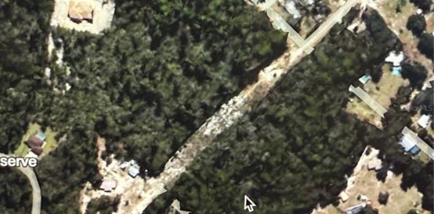 Land in Ocklawaha, Florida № 1765571